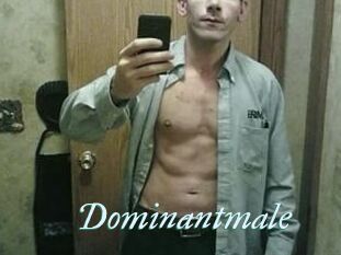 Dominantmale