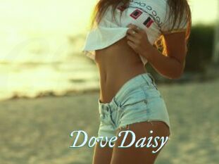 DoveDaisy