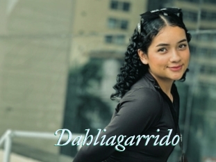 Dahliagarrido