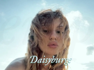 Daisyburge