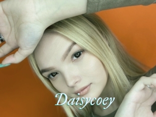 Daisycoey