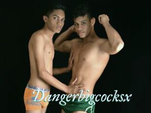 Dangerbigcocksx