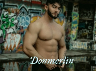 Donmerlin