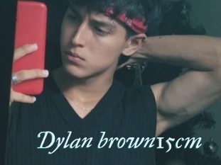 Dylan_brown15cm