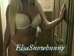 ElsaSnowbunny