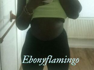 Ebony_flamingo