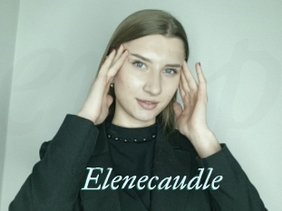 Elenecaudle