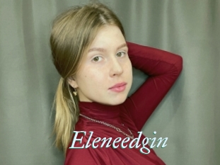 Eleneedgin
