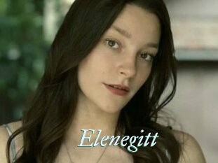 Elenegitt