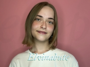 Elvinabute