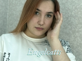 Engelcatts