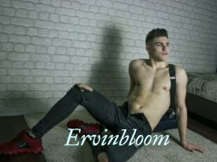 Ervinbloom