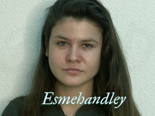 Esmehandley