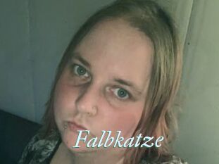 Falbkatze