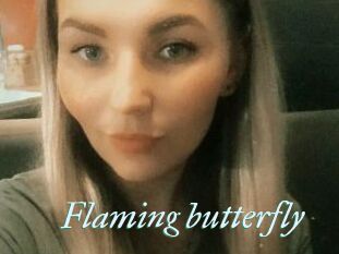 Flaming_butterfly