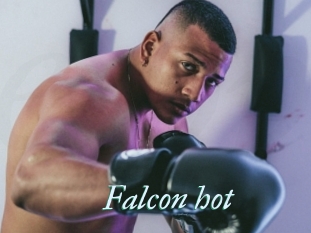 Falcon_hot