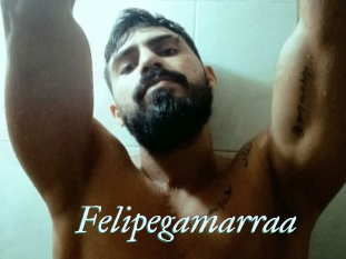 Felipegamarraa