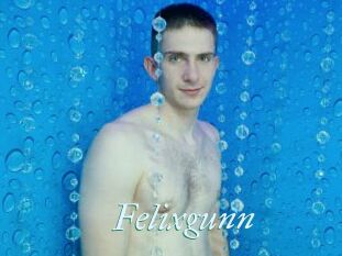 Felixgunn