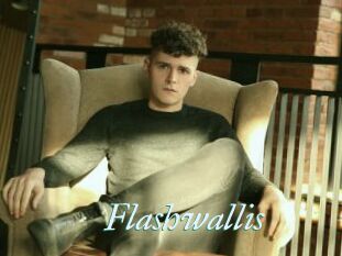 Flashwallis