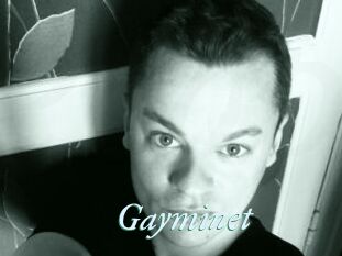 Gayminet