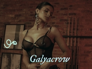 Galyacrow