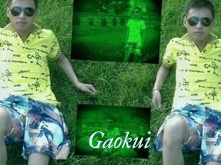 Gaokui