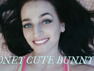 HONEY_CUTE_BUNNY