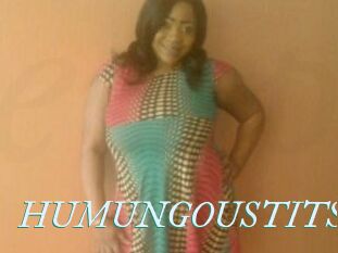 HUMUNGOUSTITS
