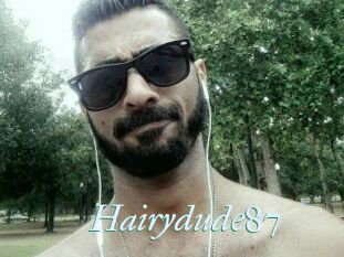 Hairydude87