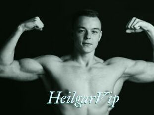 HeilgarVip