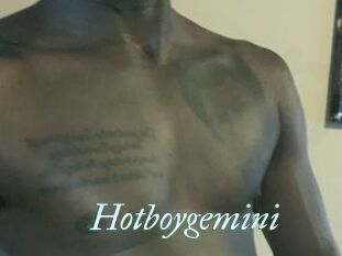 Hotboygemini