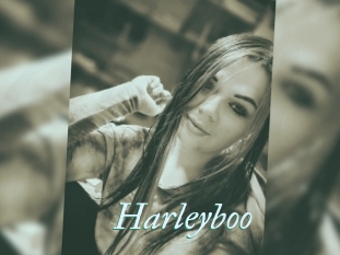 Harleyboo