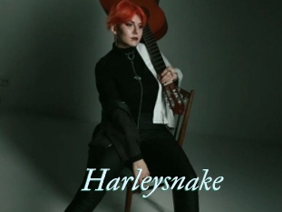 Harleysnake