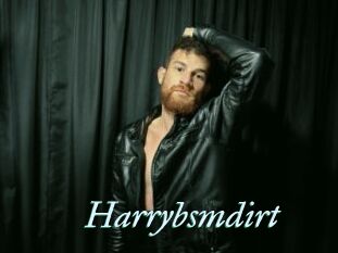 Harrybsmdirt