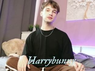 Harrybunny