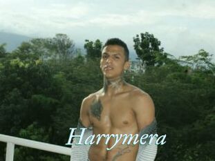 Harrymera