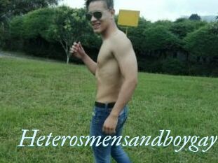 Heterosmensandboygay