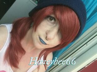 Honeybee66