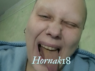 Hornak18