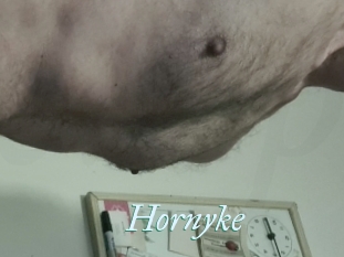 Hornyke