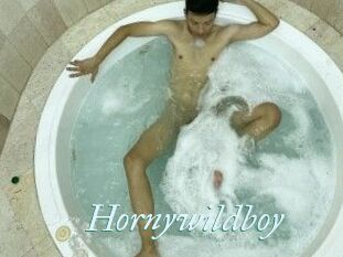 Hornywildboy