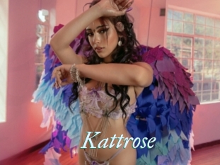 Kattrose