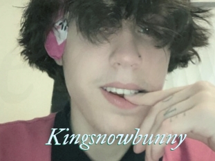 Kingsnowbunny