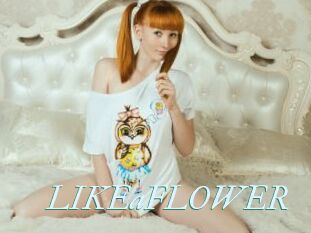 LIKEaFLOWER