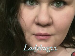 Ladybug22