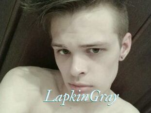 LapkinGray