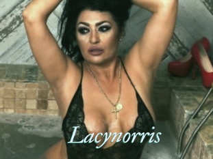 Lacynorris