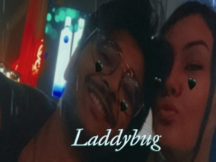 Laddybug