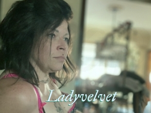 Ladyvelvet