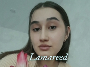 Lamareed